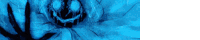 a blue background with a spider on it