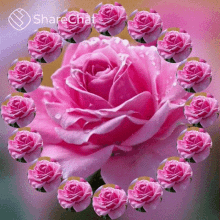 गुलाबीफूल घूमना GIF - गुलाबीफूल गुलाब घूमना GIFs