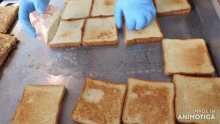 a bunch of slices of toast are sitting on a tray with the words made in animatica written on the bottom