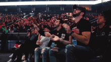 Cheering Fans GIF - Cheering Fans Crowd GIFs