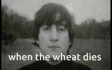 Wheat GIF