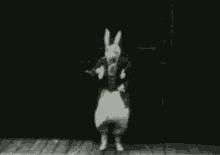 Rabbit Easter GIF - Rabbit Easter Bunny GIFs