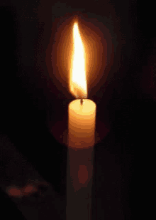 Candle Flame GIF - Candle Flame Light GIFs