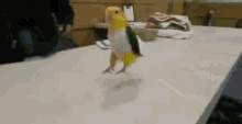 Thisbirdisjumpin Partybird GIF - Thisbirdisjumpin Partybird Jumpinbird GIFs