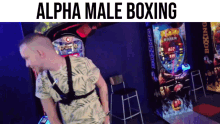 alpha male boxing sweezi sweezi streams boxing maleficent