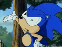 Sonic Hedgehog GIF - Sonic Hedgehog Water GIFs