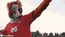 clemson tigers mascot