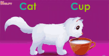 C For Cat Cat GIF - C For Cat Cat Cup GIFs