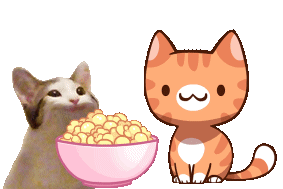 Pop Cat Pop Cats Sticker - Pop Cat Pop Cats Popcorn Cat Stickers