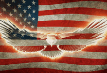 Eagle Flag GIF - Eagle Flag United States Of America GIFs
