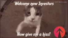 Everrise Crypto GIF - Everrise Crypto Bsc GIFs
