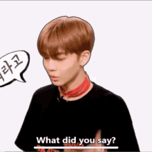 Zgx Wanna One GIF - Zgx Wanna One What Did You Say GIFs