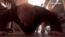 Pushup The Pet Collective GIF - Pushup The Pet Collective Workout GIFs