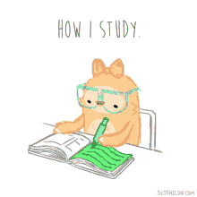 Studying How I Study GIF