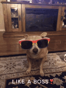 Like A Boss Sunglasses On GIF - Like A Boss Sunglasses On Doggo GIFs