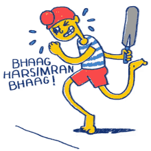 bhaag cricket
