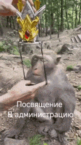 a monkey with a crown on its head is being petted