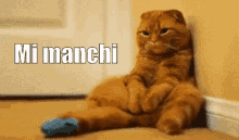 Mi Manchi GIF - Mi Manchi Gatto Triste GIFs