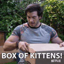 Box Of Kittens Opening Box GIF