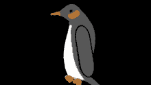 Whospin Penguin GIF - Whospin Penguin Spin GIFs