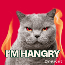 Im Hangry Grumpy GIF - Im Hangry Hangry Grumpy GIFs