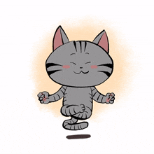 cute cat kitty gray peace