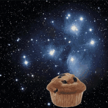 Sloth Muffin GIF - Sloth Muffin Space GIFs