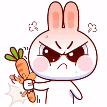 angry bunny carrot