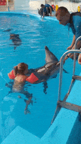 a little girl is kissing a dolphin in a swimming pool .