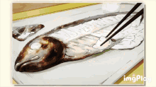 a drawing of a fish with chopsticks and the word imgplay below