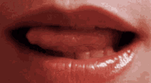 Kiss Lip GIF - Kiss Lip GIFs