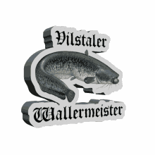 fishing wallermeister
