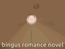 Bingus Romance GIF - Bingus Romance Novel GIFs