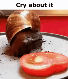 cry bozo cringe snail