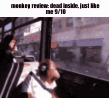 monkey review