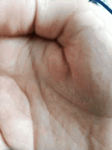 a close up of a person 's hand with a blurry background .