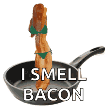 Bacon Baecon GIF