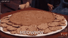 Meowww Cookie Monster GIF - Meowww Cookie Monster Surprised GIFs