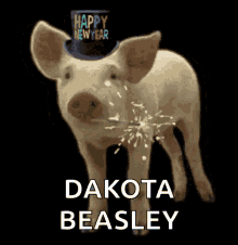 Yes Pig GIF - Yes Pig Happy New Year GIFs