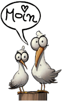 two seagulls are standing next to each other with a speech bubble above them that says moin