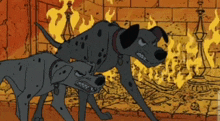 two dalmatian dogs are standing in front of a fireplace that is on fire