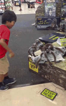 Fall Scared GIF - Fall Scared Huge Spider GIFs