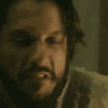 a close up of a man with a beard and long hair