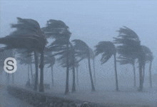 Stormy Weather Itsstorming GIF - Stormy Weather Itsstorming Ohnoitsstorming GIFs