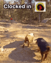 Clocked In Clocking In GIF - Clocked In Clocking In Time Punch GIFs