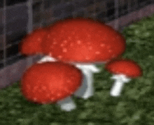 Mushrooms Raising Dead GIF