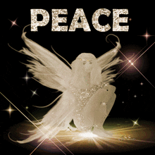 a picture of a fairy with the word peace in the background