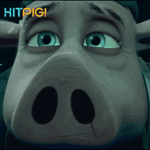 a close up of a pig 's face with the word hitpig written above it