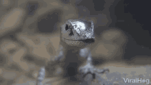 Breathing Silver GIF - Breathing Silver Inhale GIFs