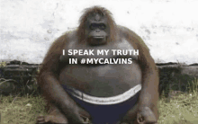 Calvins My_truth GIF - Calvins My_truth My Calvins GIFs